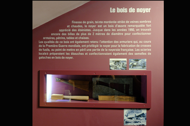 photo11