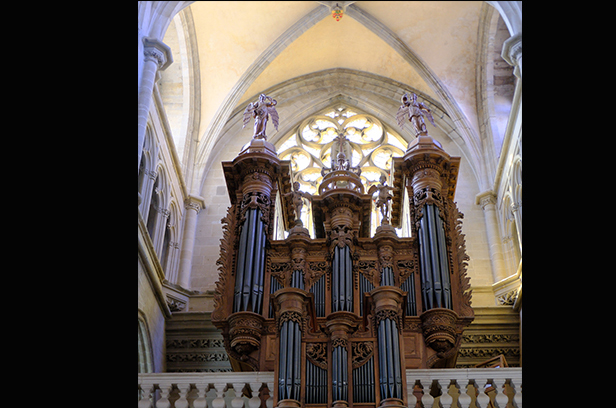 photo18