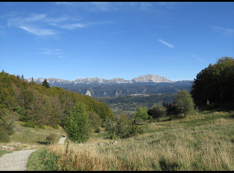 photo41