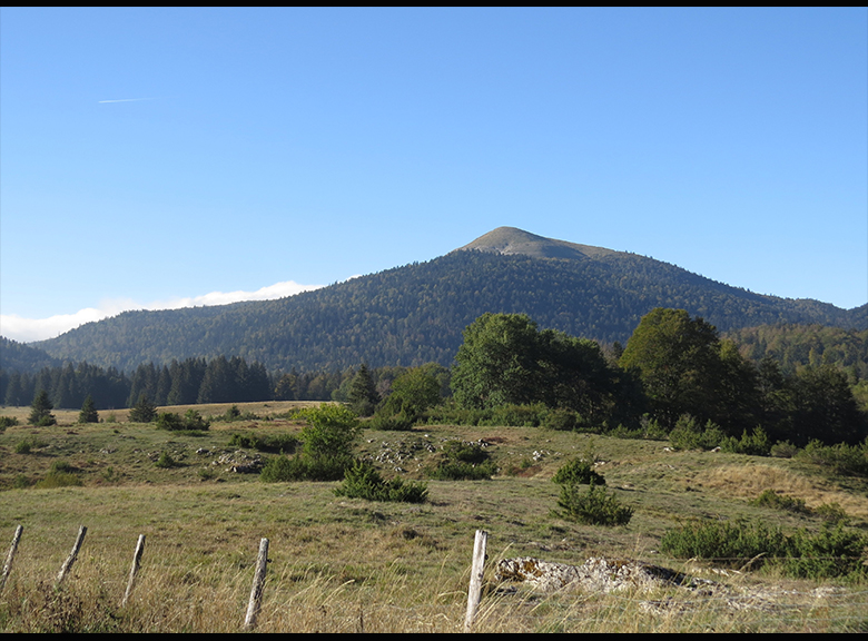 photo49